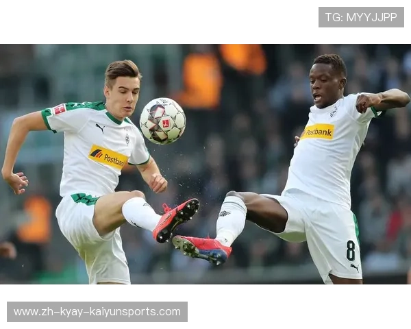 德甲有哪些真正意义上的全民支持型球队？