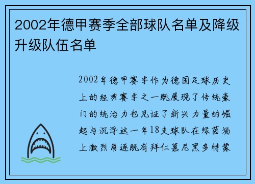2002年德甲赛季全部球队名单及降级升级队伍名单